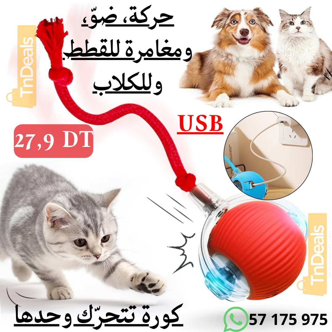 Smart Ball Cat